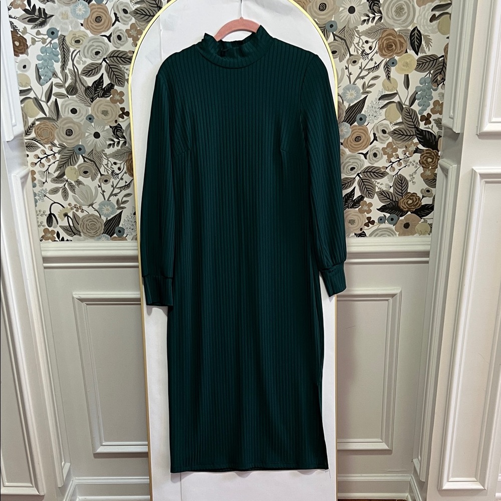 Enfocus Studio green Long Sleeve mock neck midi Dress